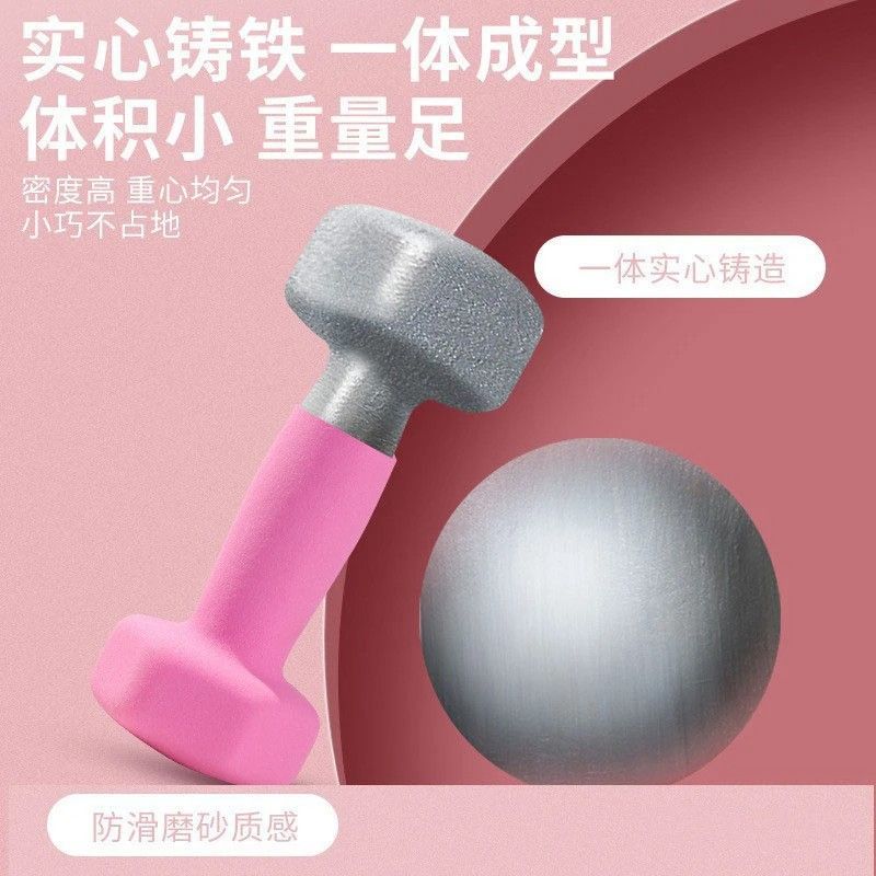 哑铃女士健身家用器材哑铃男士健身家用器材实心家用哑铃2kg一对 紫色 0.5kg仅一只