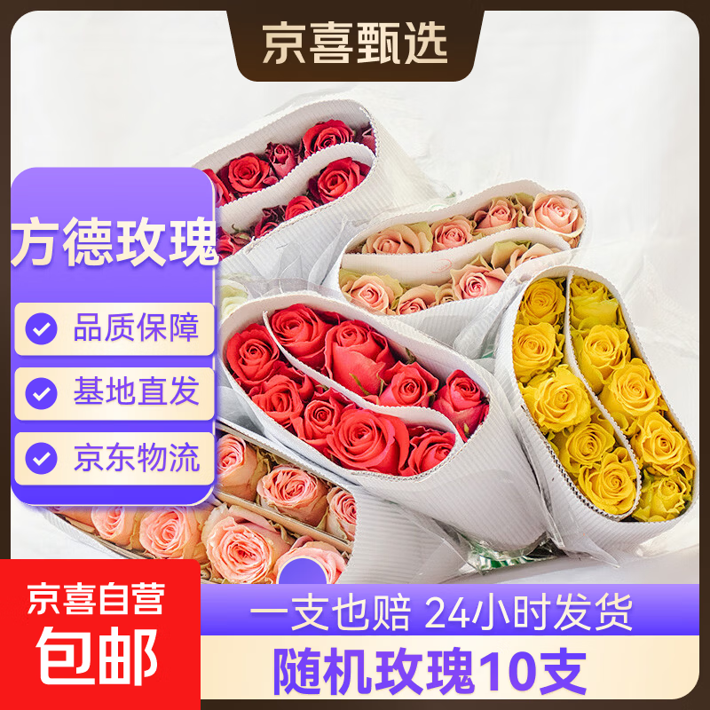 【方德玫瑰】云南鲜花基地直发玫瑰花鲜切38妇女节女神节生日礼物 方德35-40cm随机玫瑰10支