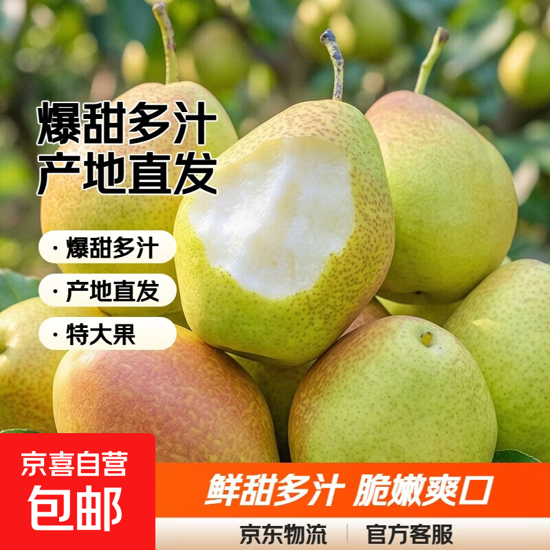 京喜加特级国产红香酥梨爆甜多汁新鲜水果产地直发建业1 大果带箱2斤装，净重1.8斤单果100g
