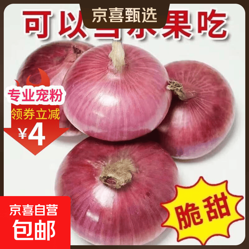 山东特产水果扁洋葱甜瓜口感红皮扁葱头生吃脆甜蘸酱好吃粉嫩 紫皮洋葱大果带箱 5斤净重4.5斤 精选