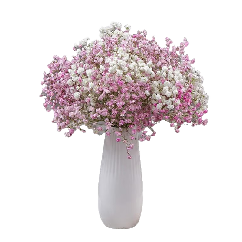 AIMAN ʻ滨ɻȻǻҾӿװڼ ۰ǻװ(ƿ) ֦ 15.38Ԫ