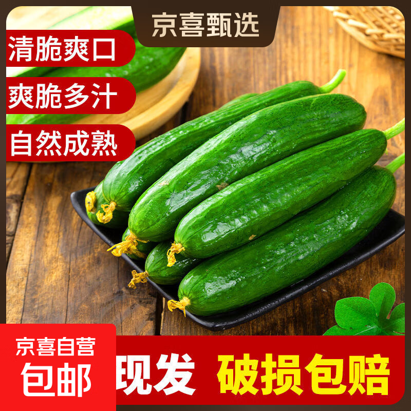 寿光水果黄瓜小黄瓜生吃脆嫩清甜凉拌蘸酱乳瓜农家自种现摘现发 5斤 （净重 4.8斤）