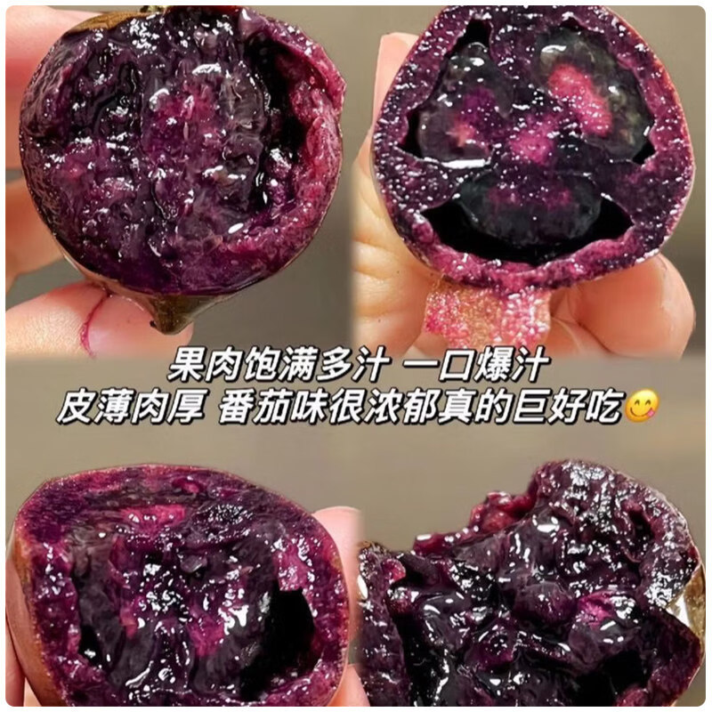 山东寿光圣女果黑色小番茄即食花青素黑玫瑰黑珍珠 500g 净重0.8-1.2斤 小果