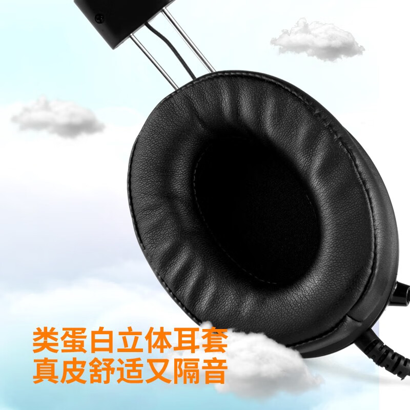 电音 D9000 学英语电脑耳机 头戴式带麦克风英语听力考试有线耳机 网课口语学习降噪笔记本耳麦电教学 USB接口 -内置声卡 听说考试降噪