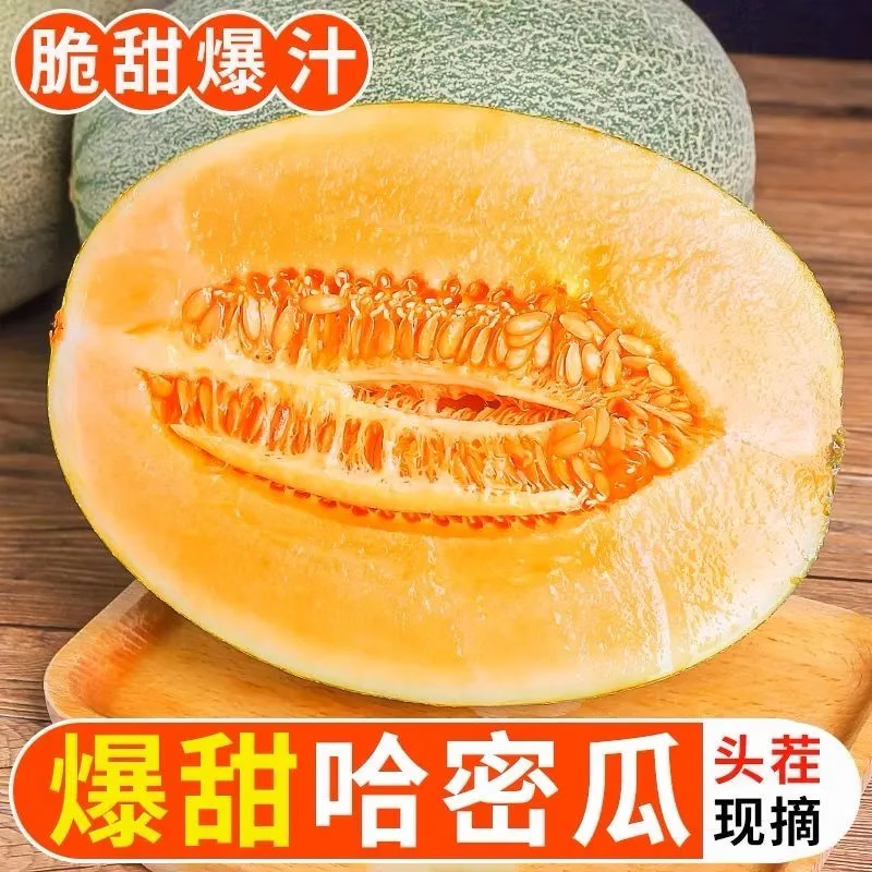 京农超正宗海南哈密瓜西州蜜薄皮新鲜现摘晓蜜应季水果整箱蜜瓜 5斤装 净重4.5斤，2个装（热销款）