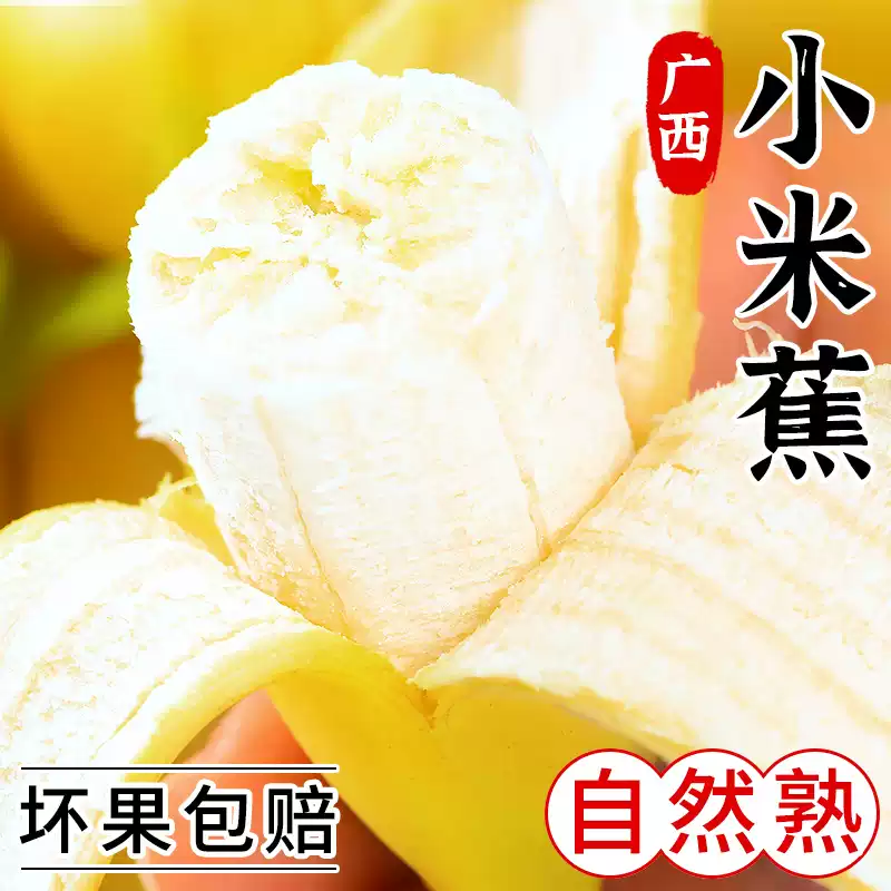 正鲜季（ZHENGXIANJI）广西小米蕉小香蕉生鲜芭蕉粉蕉苹果蕉青蕉自然熟新鲜水果整箱批发 【热卖款】带箱5斤净重4.8斤