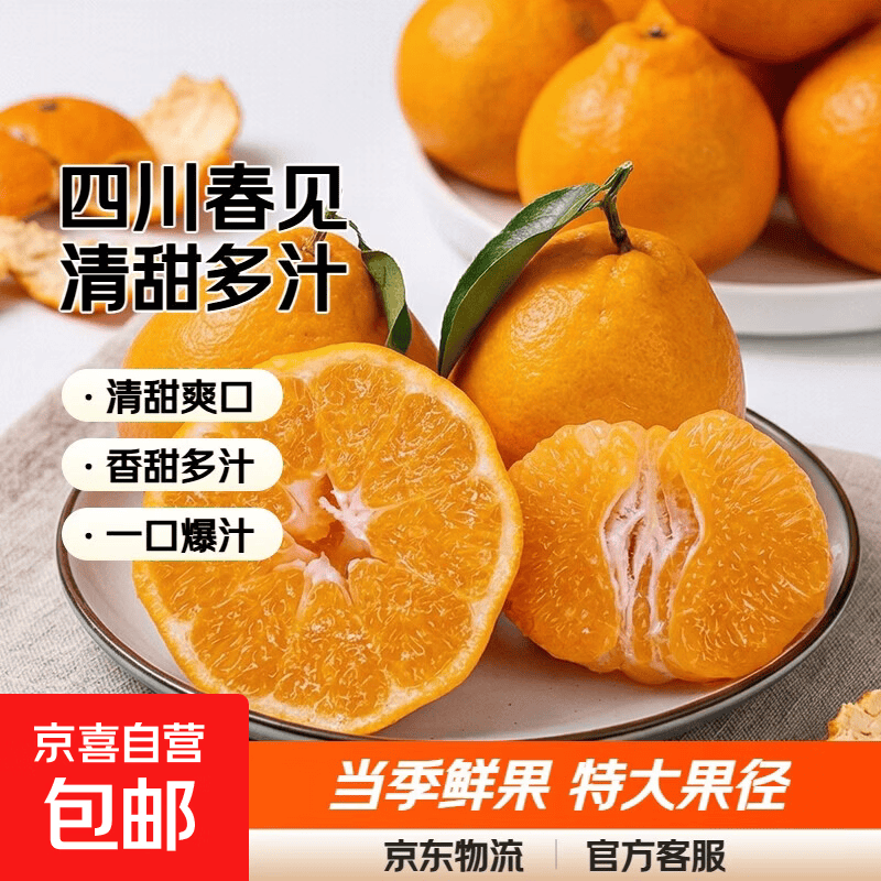 四川不知火丑柑香甜多汁清甜爽口当季耙耙柑橘子桔子 带箱10斤【净重9斤】特大果85mm+