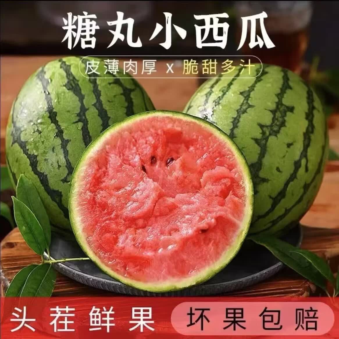 脆甜爆汁 正宗2k小糖丸西瓜 手撕薄皮 新鲜水果 现摘直发 手撕2k小糖丸1.5-2斤/个