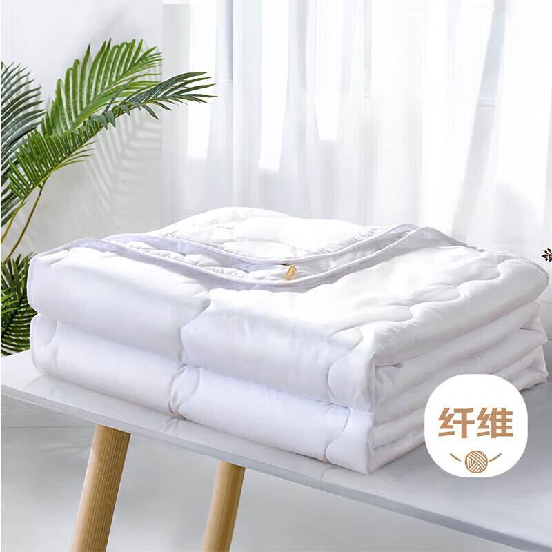 富安娜被子夏凉被夏季空调被可机洗抑菌夏被双人薄被芯2.5斤203x229cm