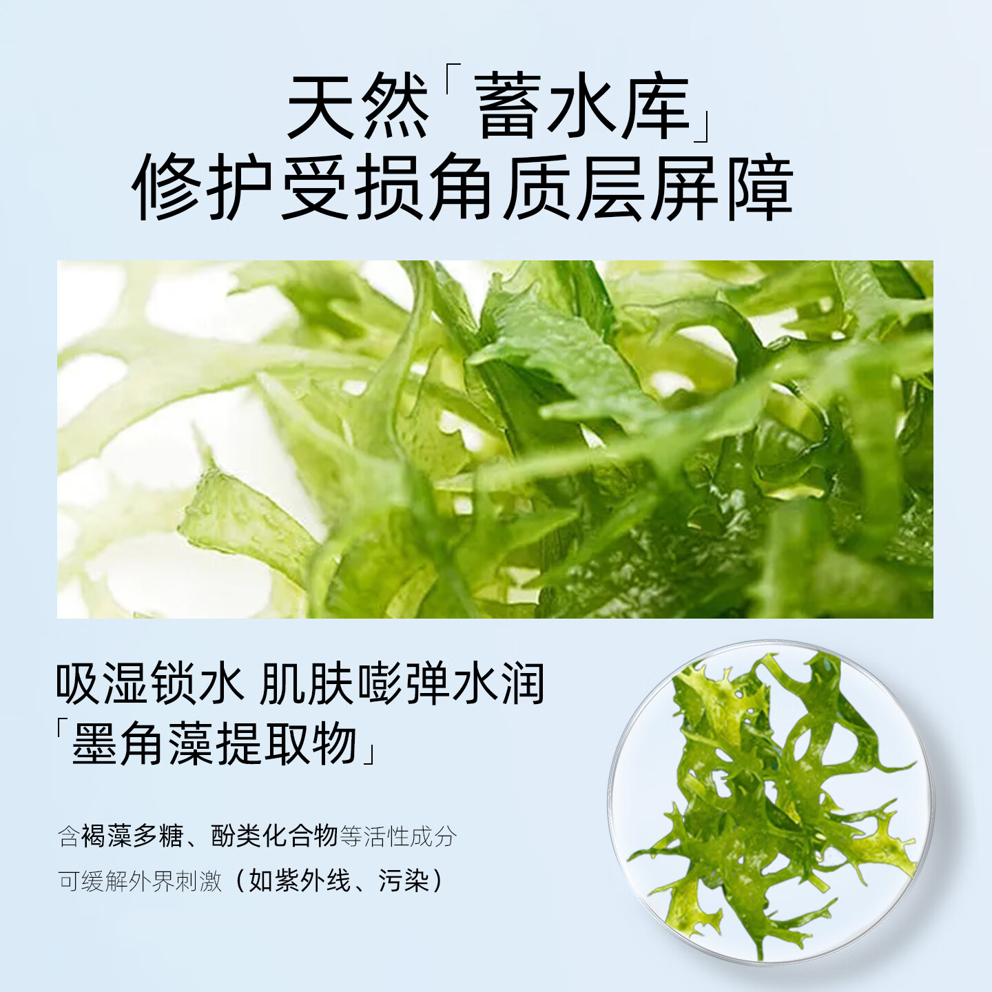 贝纳杜保湿舒缓爽肤水250ml洋甘菊湿敷水金盏花化妆水西班牙进口 250ml（1支）