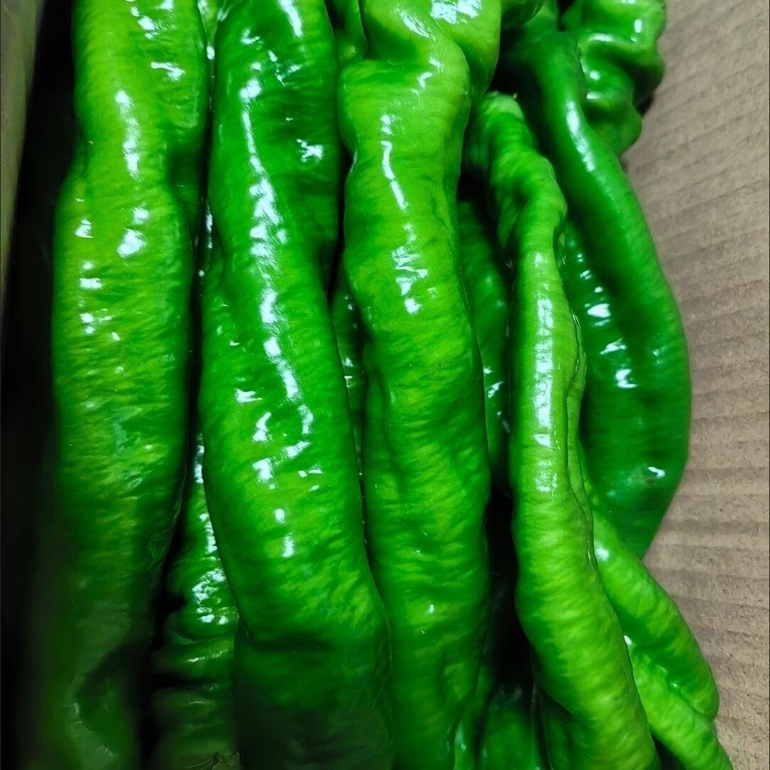 【云南螺丝椒】青辣椒现摘薄皮微辣生鲜蔬菜彩椒辣椒辣椒 带箱3斤
