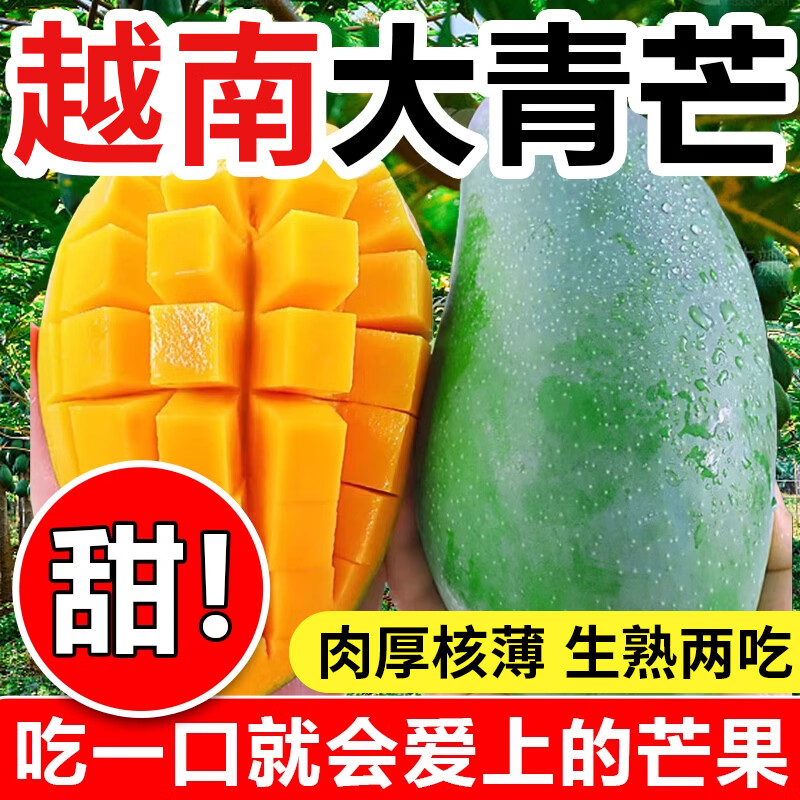鲜福林现货越南进口大青芒水果当季新鲜甜心芒果大芒果包邮 净重4.5斤(单果400g起)