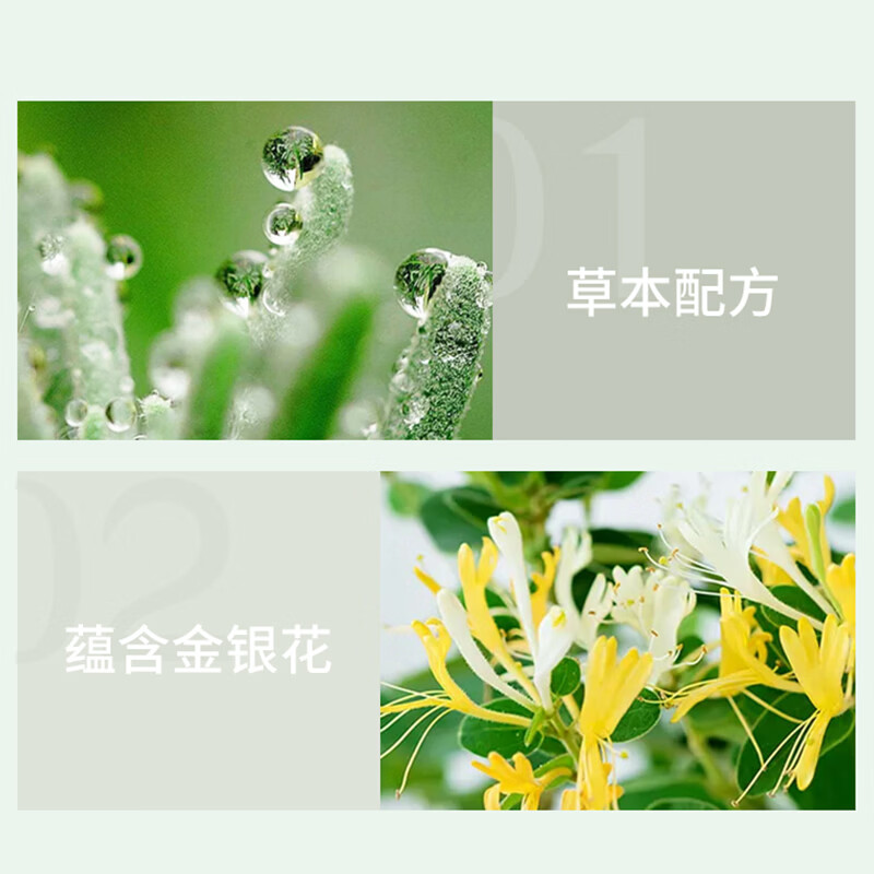 冷酸灵成人牙膏4支装 清火抗敏牙膏套装 抗牙本质敏感清新口气 老牌国货 清火抗敏140g*2+清火益齿100g*1+抑菌斑100g*1 480g*1套
