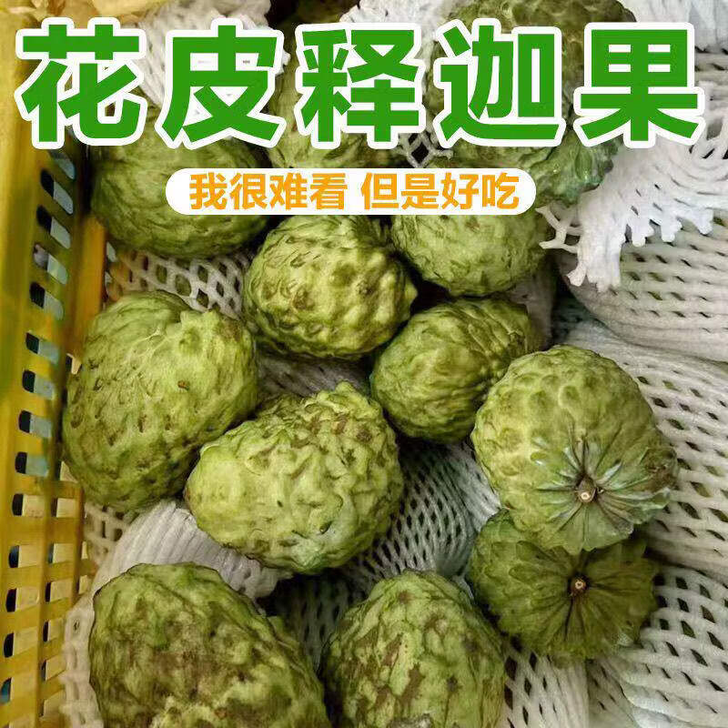 鲜宝道广西新鲜花凤梨皮释迦佛头果 5斤释迦果100-200克净重4.5斤