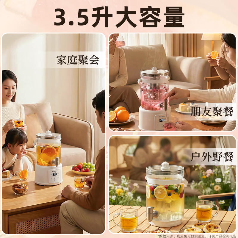 班尼兔（Pink Bunny）带水龙头养生壶多功能电热烧水壶保温煮茶器3.5L高硼硅玻璃 花茶桶简易款【不推荐】 3.5L
