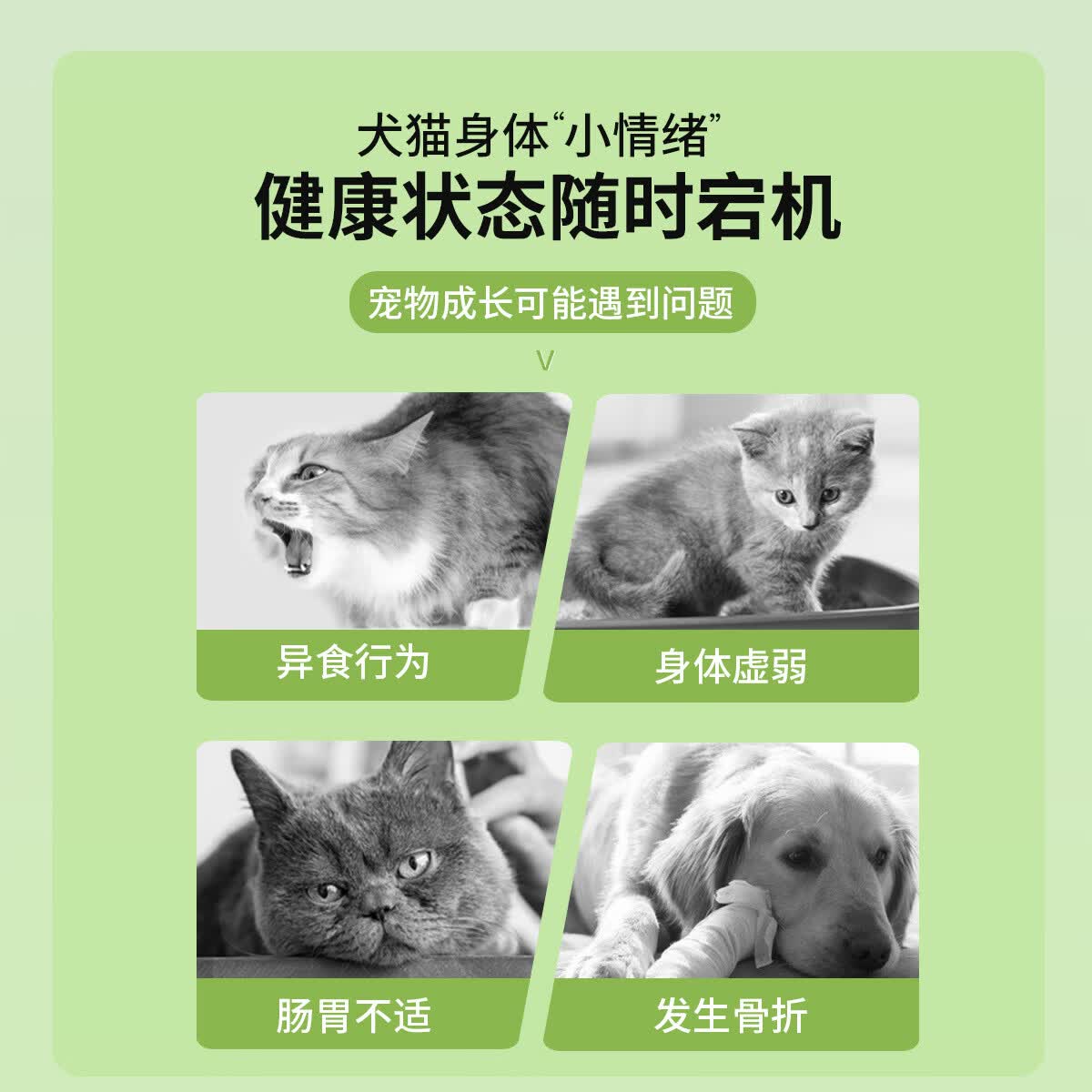 宝莱美露（BORAMMY）宠物益生菌片狗狗猫咪维生素软骨素微量元素赖氨酸鱼油乳钙片营养 鱼油维生素片 200粒*1瓶