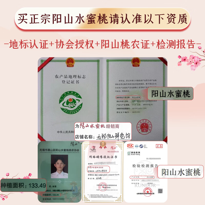 阳山水蜜桃 正宗无锡阳山水蜜桃 时令水果桃子 节日端午礼盒送礼 一级果4-5两12个礼盒净重4.8斤多