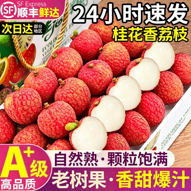 壹萌果蔬新鲜荔枝【JD顺丰次日达】荔枝新鲜桂花香水果礼盒送礼 3斤装【爆款主荐-80%人买】净2.5斤 【爆汁甜】甄品果丨单果16-18g