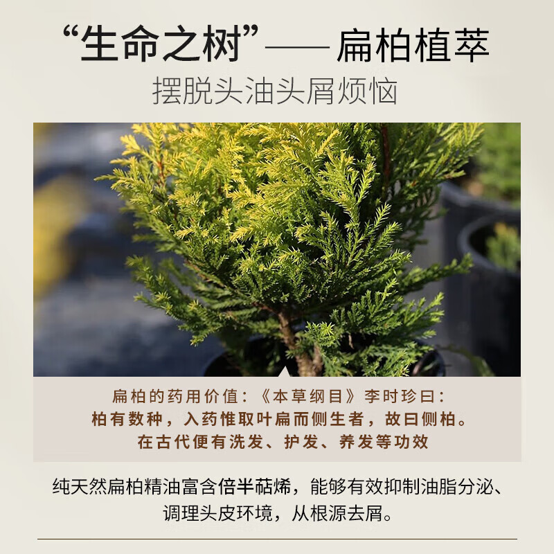 浅香洗发水 控油去屑丰盈蓬松洗护洗沐套装 洗出高颅顶【女神同款】 晚樱750g+扁柏750g+护发素700g