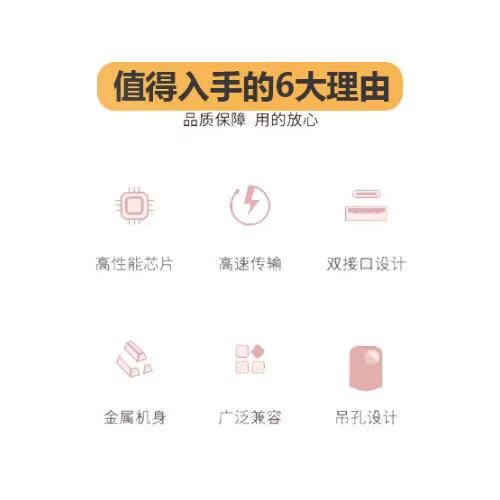 SHXI多功能u盘2000G苹果安卓typec手机电脑两用高速3.0大容量金属优盘扩容存储系统盘备份移动 二接囗 樱花粉 128g 热销中【五年超长质保 只换不修 】