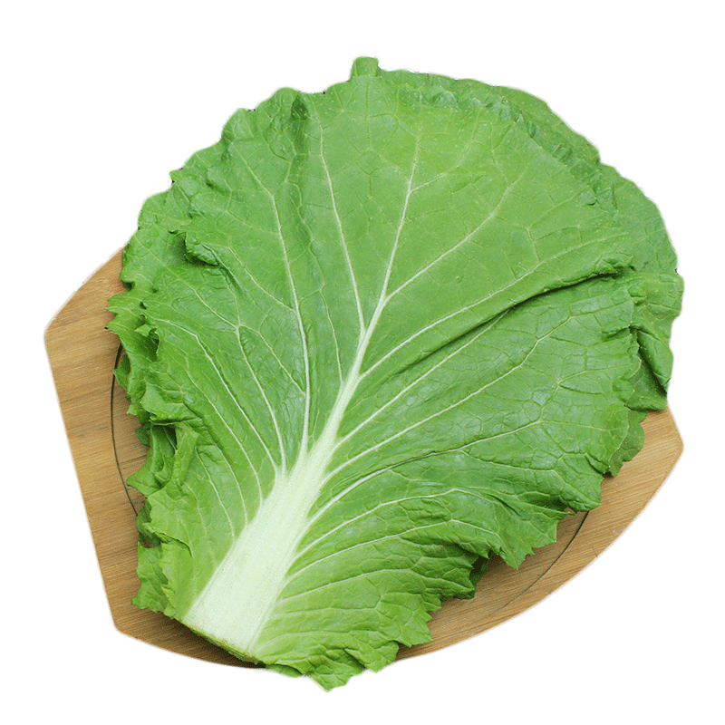 大白菜叶新鲜 东北农家蔬菜包饭包白菜叶子 蘸酱菜 20片 健康轻食