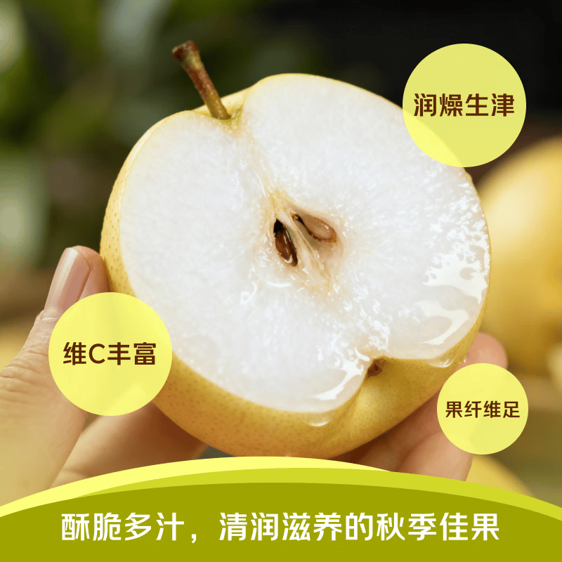 东鲜丰安徽砀山酥梨新鲜水果梨子砀山梨农家当季脆甜水果大果梨 净重4.5斤【单果250g+】