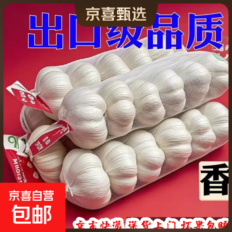大蒜头出口品质网兜紫蒜蔬菜调料新鲜大果烧烤火锅食材 【精品网兜装】3头 100g