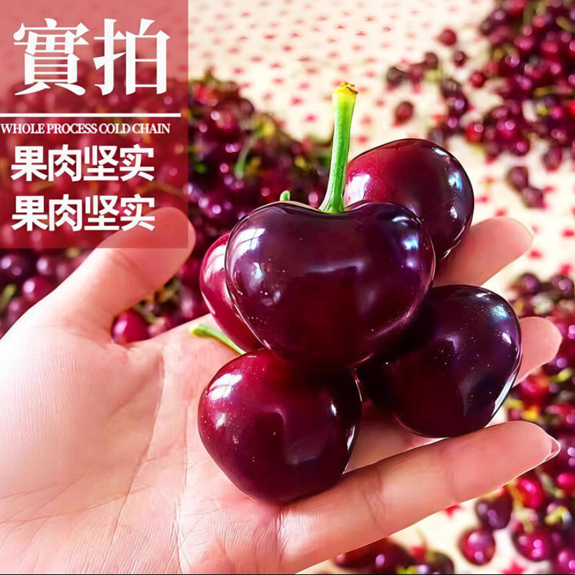 鲁禧山东大樱桃 国产车厘子樱桃水果 新鲜水果时令生鲜 孕妇水果 3斤(净重) 【性价比之王】精品单果24-26mm