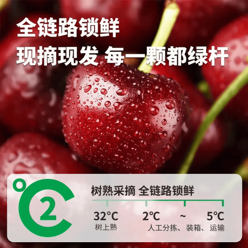 鲁禧国产车厘子SSS山东大樱桃 新鲜时令生鲜 酸甜多汁孕妇水果 3斤(净重) 单果22-24mm