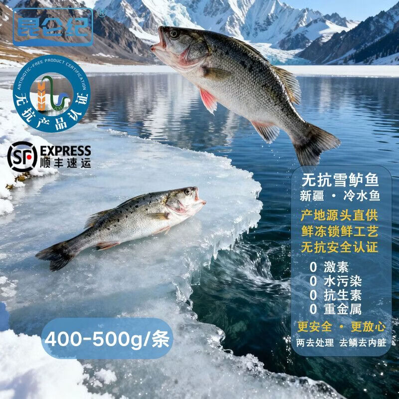昆仑纪天山无抗雪鲈鱼淡水鲈鱼整条装新疆鱼新鲜冷冻冷水鱼顺丰冷冻发货 天山雪鲈鱼(400~500g/条)(已去鳞去内脏) 2条装