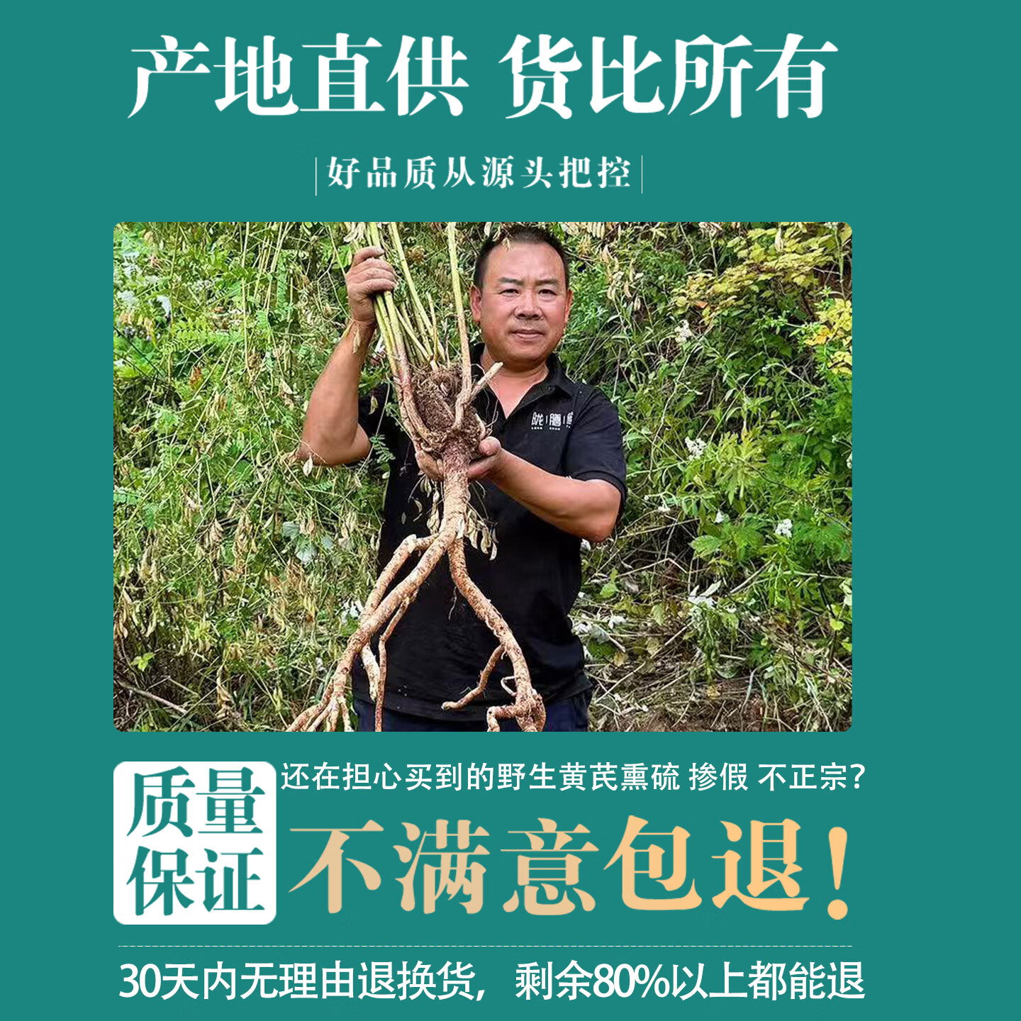 唯昱记 甘肃野生黄芪 500g【整根】黄氏正宗北芪条泡水煲汤泡酒中药材 20年野芪【整根发货】 250g*1袋