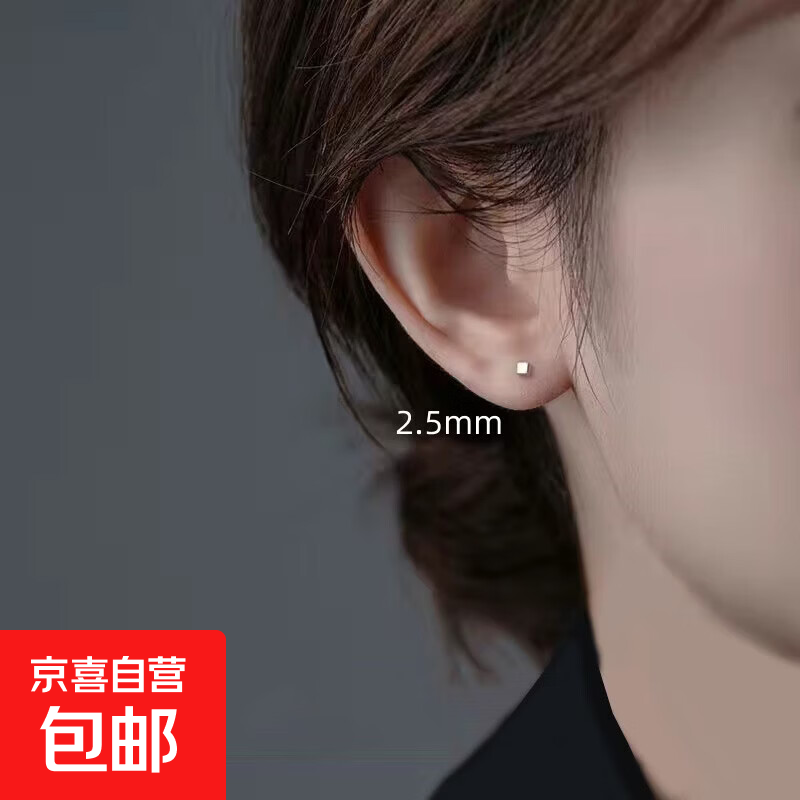 方块耳钉925银日常百搭女小众设计小耳钉养耳洞简约ins耳骨钉批发 方形耳钉2.5mm 方形耳钉2.5mm(一对)
