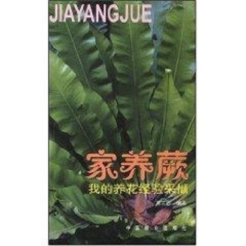 家养蕨：我的养花经验采撷