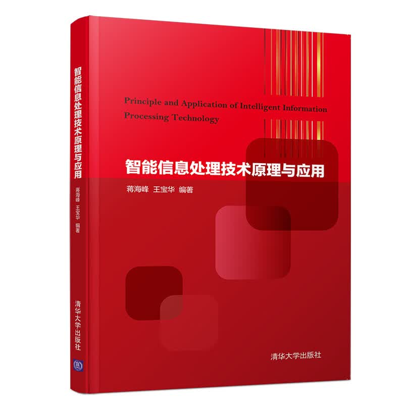 智能信息处理技术原理与应用