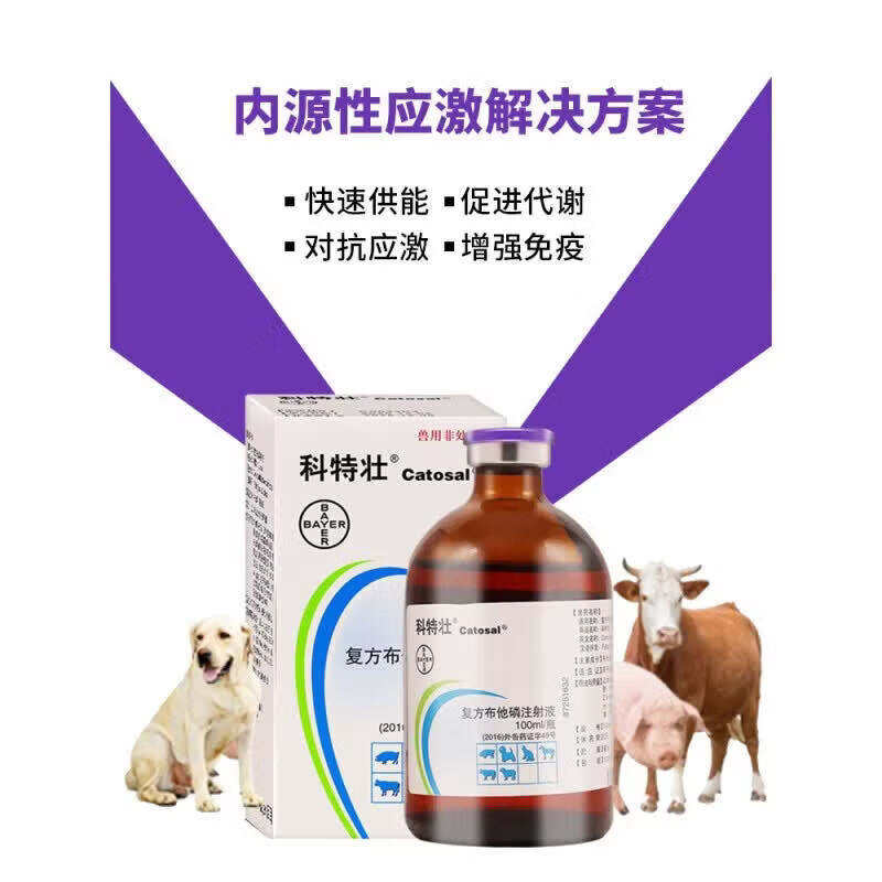 科特壮猫狗拜尔耳布牠能布他磷注射液补能量猪增食宠物犬猫100ml/瓶 100ml*1瓶