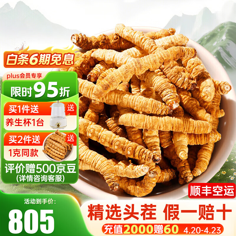 藏汐堂 冬虫夏草 新干头期纯肉节虫草 实惠家庭滋补品 大号纯肉节 10g*1盒 【送养生杯】