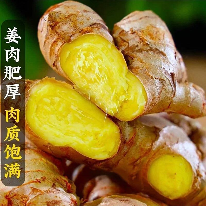 豔疅正宗云南小黄姜老姜农家精选品当季新鲜大生姜原产地直销美味直达 净重【5斤】新鲜采挖|小黄姜