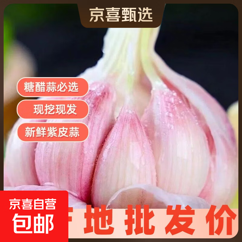 云南正宗紫皮大蒜现挖新鲜多瓣湿蒜鲜蒜糖蒜专用大蒜头 家庭款鲜蒜净重1.8斤中果