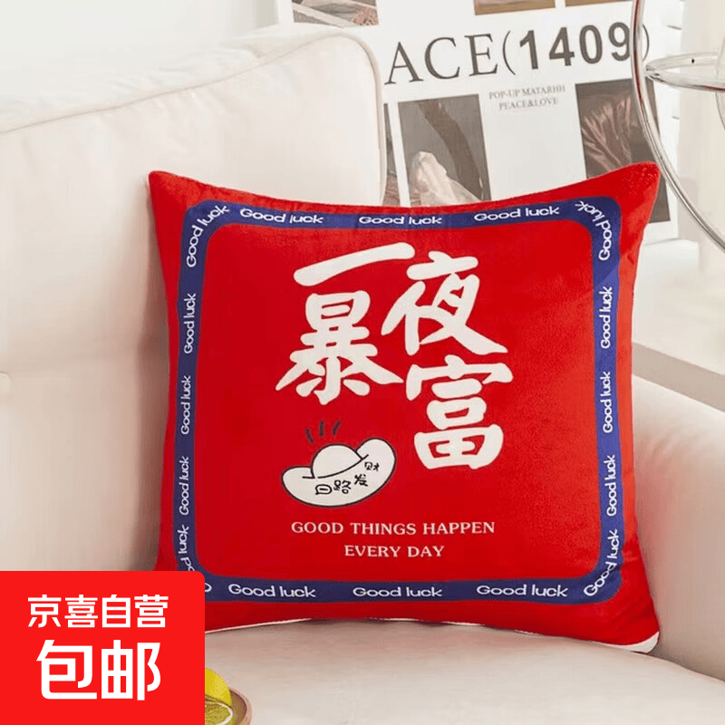 【活动】抱枕靠垫办公腰枕床头靠枕腰靠卡通可拆洗(含芯/不含芯) 一夜暴富 36cm*36cm 含枕芯 （单支装）