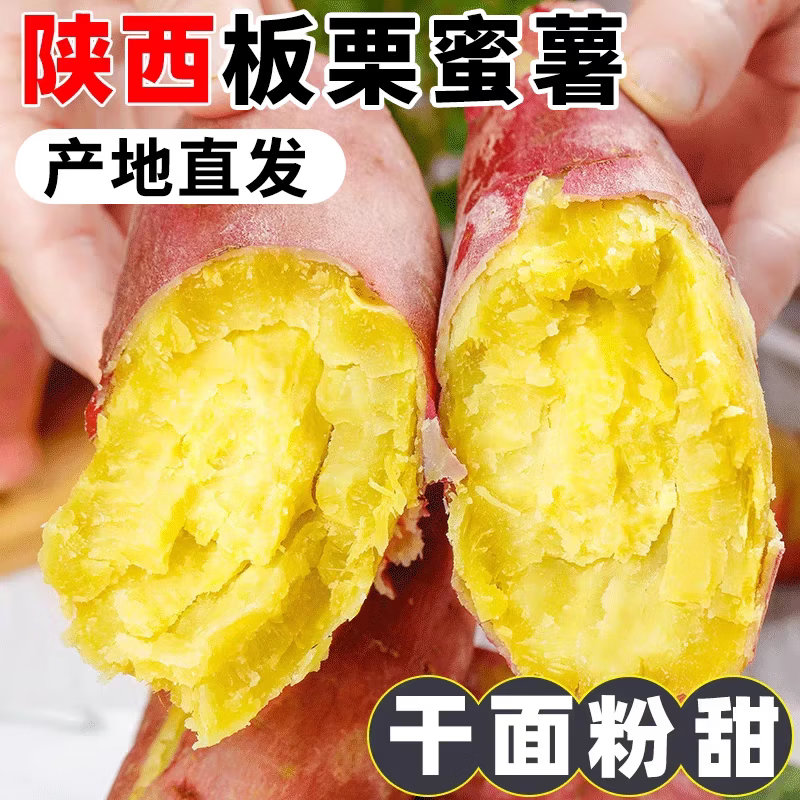 陕西板栗红薯蜜薯当季新鲜蔬菜生鲜自然熟地瓜番薯果蔬整箱 2.5-3斤精选装【粉糯香甜】净重2斤 新鲜采摘