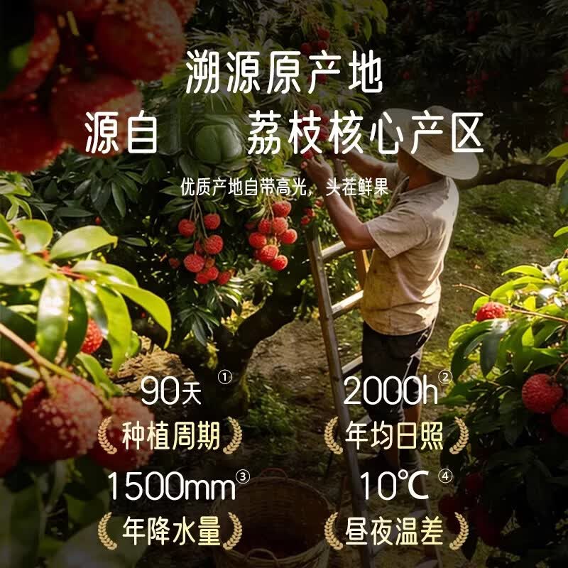 壹萌果蔬广东白糖罂荔枝【JD顺丰次日达】荔枝新鲜水果礼盒送礼 3斤装【爆款主荐-80%人买】净2.5斤 【爆汁甜】甄品果丨单果16-18g