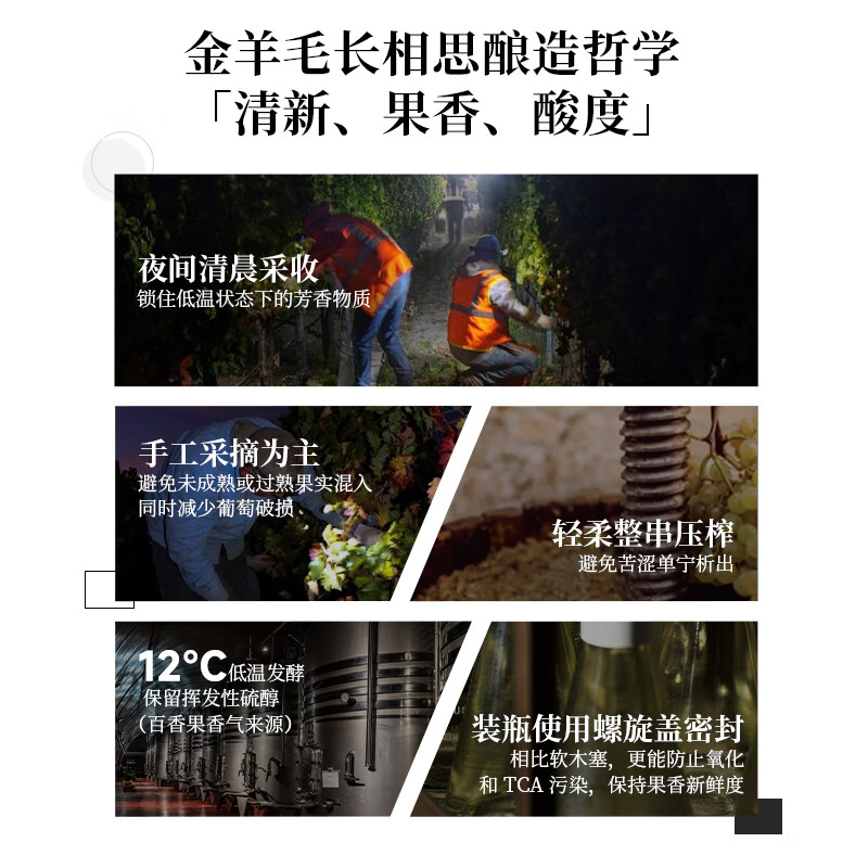 金羊毛【国际金奖 澳洲原瓶进口】红酒干红葡萄酒送礼酒 750ml*2瓶【世界经典长相思】