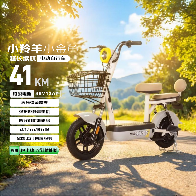 小羚羊新新国标小金鱼电动自行车48V12AH铅酸电池长续航成人电瓶车家用代步电车  布朗灰 区域限定
