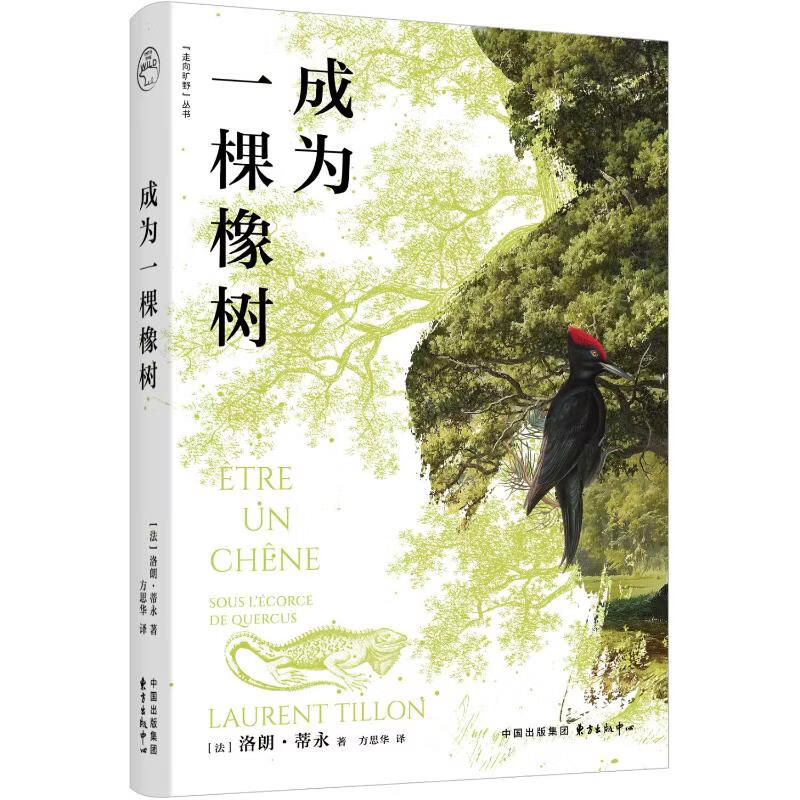 成为一棵橡树 东方出版中心 法洛朗·蒂永Laurent Tillon 著 著 方思华 译 译 书籍 图书