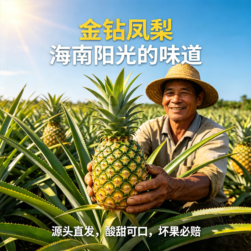 京觅海南金钻凤梨 净重5-6斤起2-3个 单果650g 新鲜水果源头直发包邮