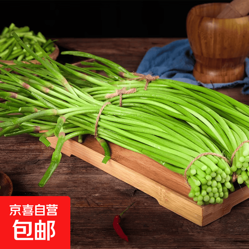 新鲜红帽短蒜薹蒜苔蔬菜产地直发炒菜时令蔬菜（20-30厘米） 河南通许带箱二斤（净重 1.8斤）
