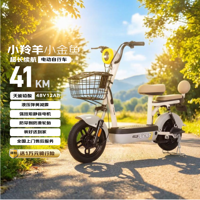 小羚羊新新国标小金鱼电动自行车48V12AH铅酸电池长续航成人电瓶车家用代步电车  布朗灰