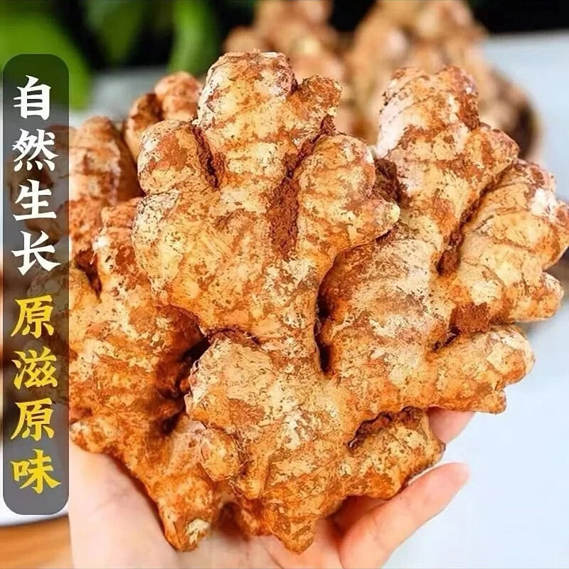 豔疅正宗云南小黄姜老姜农家精选品当季新鲜大生姜原产地直销美味直达 净重【5斤】新鲜采挖|小黄姜