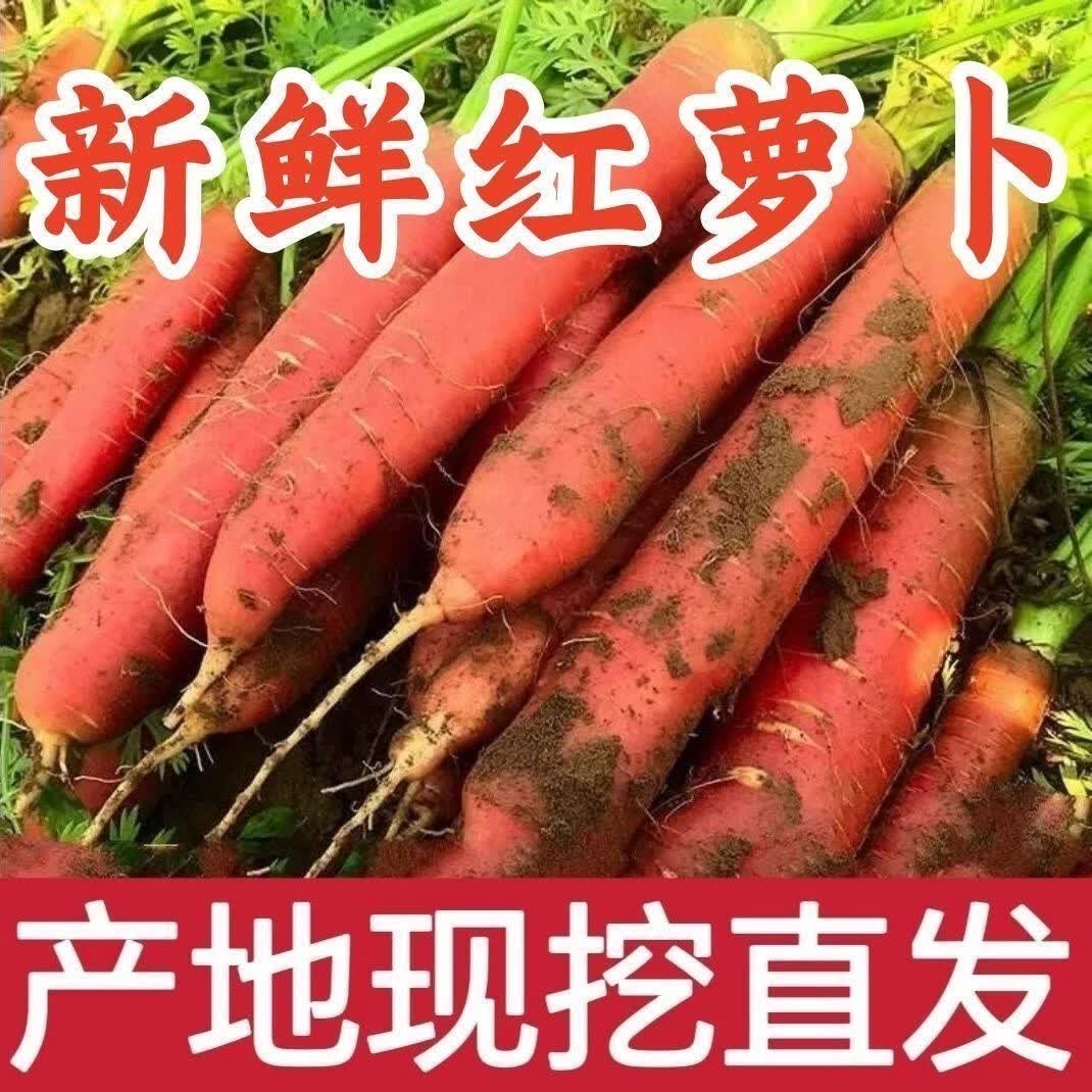 【万亩现挖】沙地红萝卜新鲜胡萝卜蔬菜水果萝卜农家批发生吃脆甜 5斤含箱2两上 京东折扣/优惠券