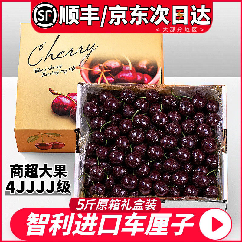 智利进口车厘子新鲜水果礼盒当季整箱孕妇大樱桃4j5j3j 5斤(净重) 斤 J 26mm(含)-28mm(不含)